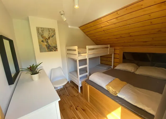 Jurzyki * ויסלאו